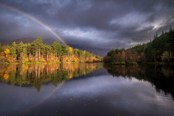 International Garden Photographer of the Year 2025 1