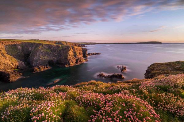 International Garden Photographer of the Year 2025 1