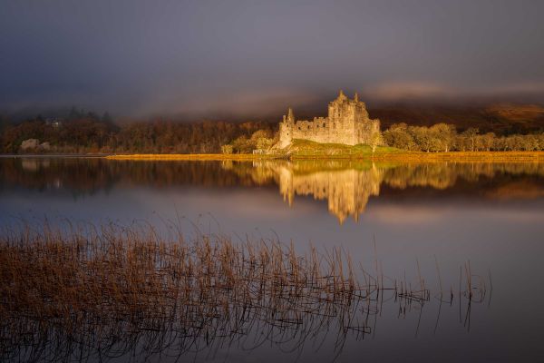 International Garden Photographer of the Year 2025 1