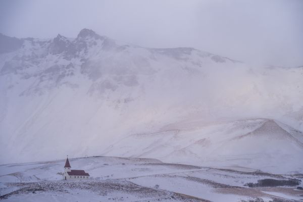 This shot is sharp despite being shot in gale force winds