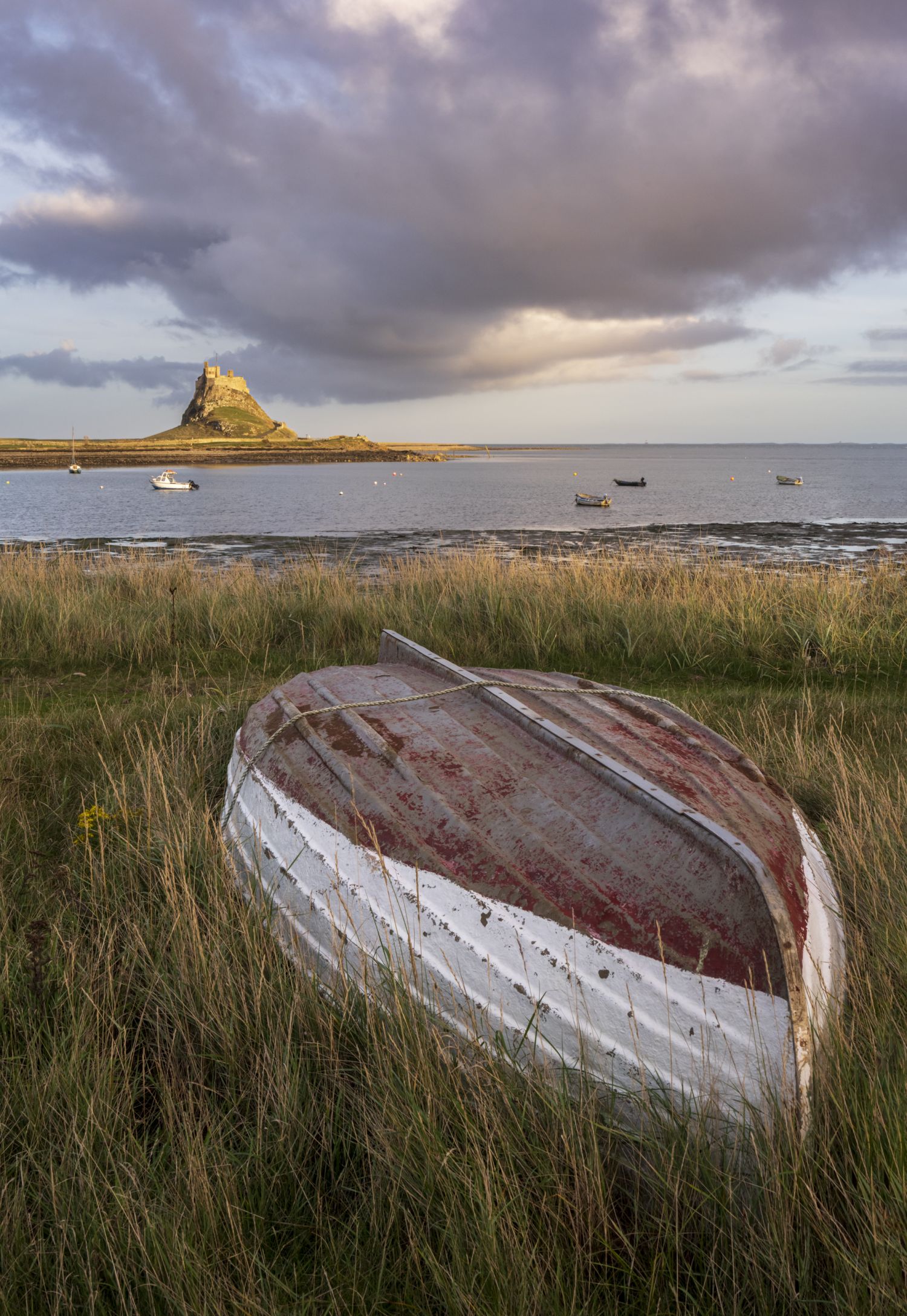 Evening light, Holy Island, Northumberland