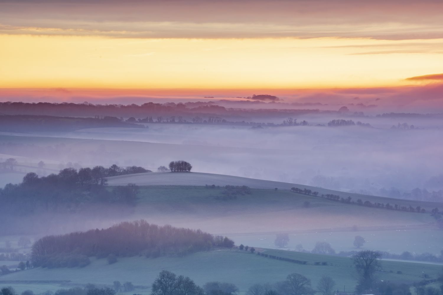 Misty Sunrise, Cranborne Chase