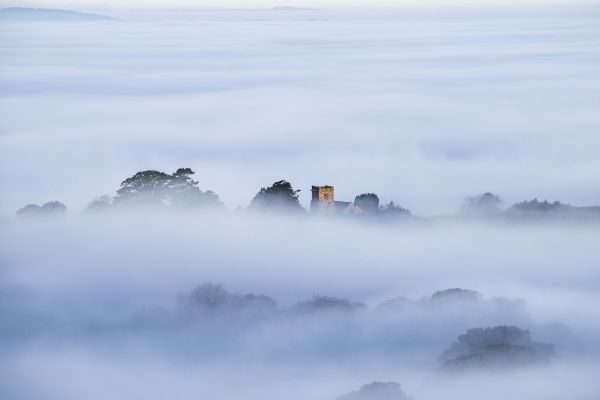 Misty Morning, north Dorset