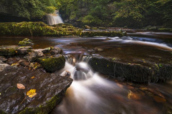 Early Autumn, Cauldron Falls, West Burton, Yorkshire