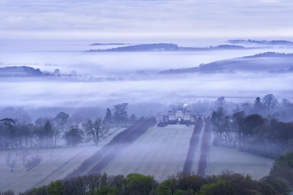 Spring mist, Cranborne Chase