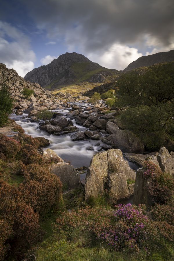 Dappled Light, Ogwen Falls, Eryri