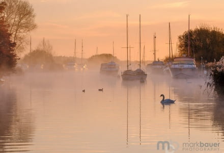 Mark Bauer Photography | PK210 Winter Morning, River Frome, Wareham