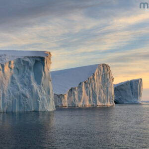 Mark Bauer Photography | Icebergs in late afternoon light, Disko Bay, Greenland