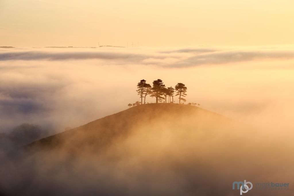 Mark Bauer Photography | Golden Morning, Colmer's Hill