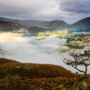 Mark Bauer Photography | Misty dawn, Grasmere, Lake District