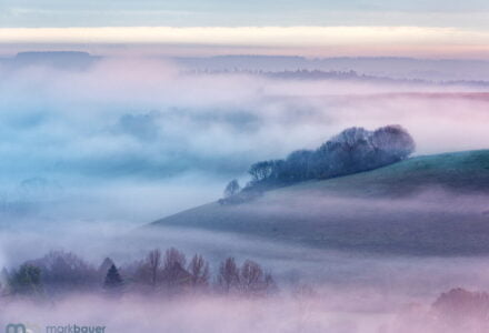 Mark Bauer Photography | Spring mist, Cranborne Chase